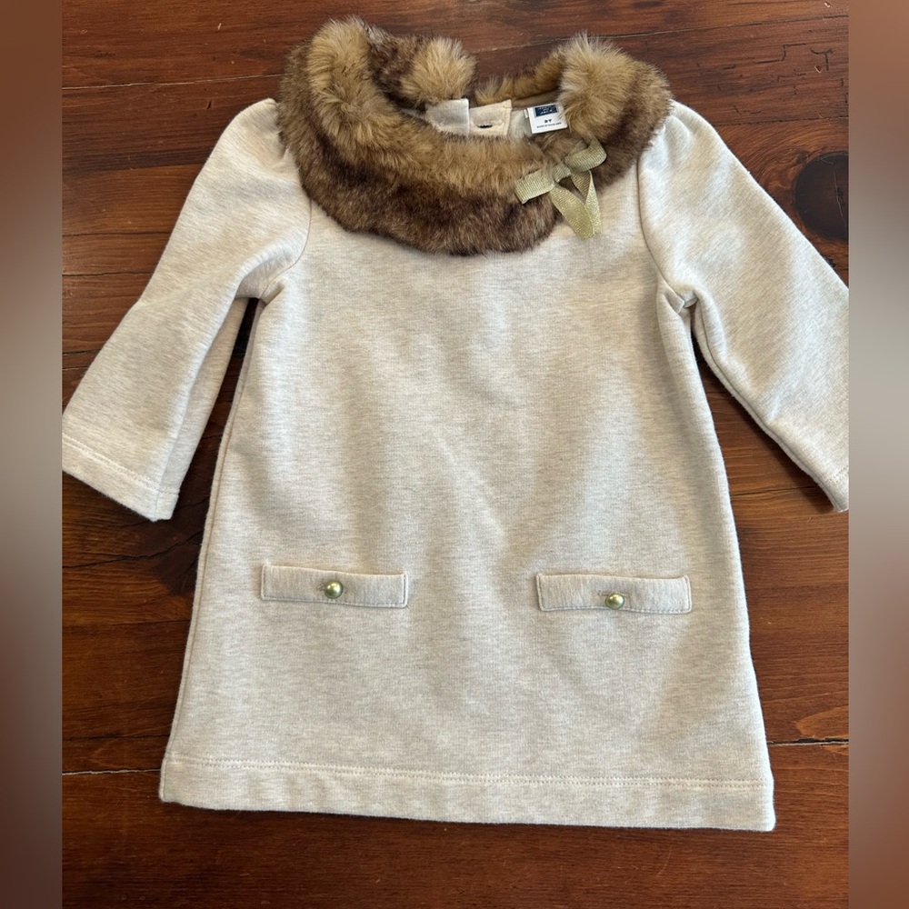 Adorable Janie and Jack Faux Fur Collar Dress size 2T